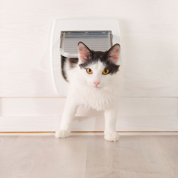 PET DOORS